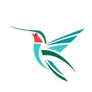 Telegram profile photo for 飞鸟云 10元包月200G流量 30%AFF