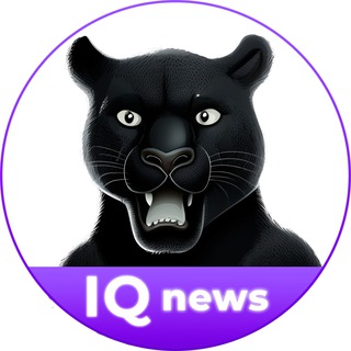 Telegram profile photo for IQmonitoring - коротко о главном