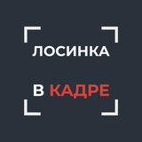 Telegram profile photo for Лосинка в кадре