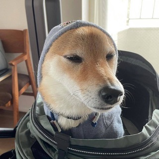 Telegram profile photo for $KOBE Inu CTO