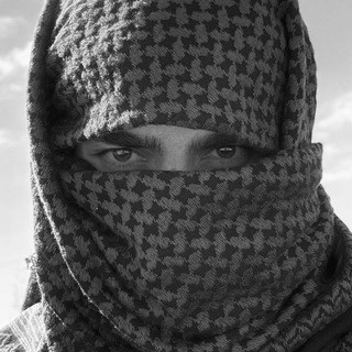 Telegram profile photo for Masoud Roohnikan