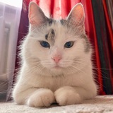 Telegram profile photo for А ну-ка Давай-ка