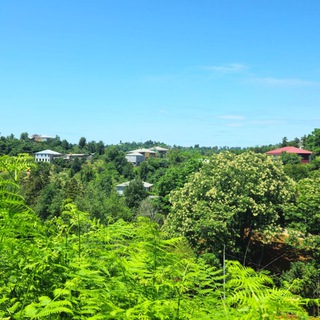 Telegram profile photo for 🇬🇪 ЗЕМЛЯ В БАТУМИ, ПРОДАЖА. LAND SALE BATUMI