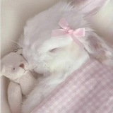 Telegram profile photo for .signs