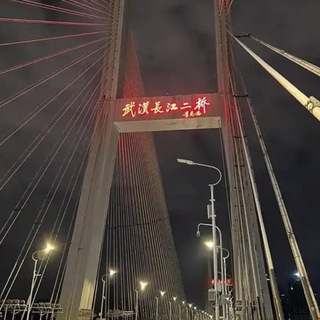 Telegram profile photo for 武汉荣耀报告榜