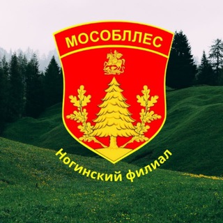 Telegram group profile photo for Ногинское лесничество