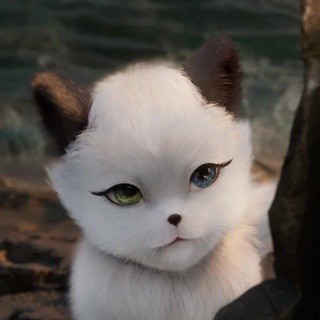 Telegram group profile photo for Hoạt Hình Trung Quốc