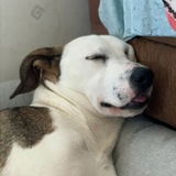 Telegram profile photo for Эльзон-зон-зон 👼🏻
