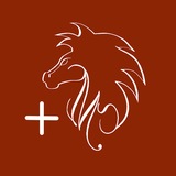 Telegram profile photo for Mu3tang Plus