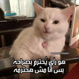 Telegram profile photo for معلومات سرية