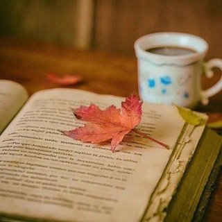 Telegram profile photo for 📚 کتاب های صوتی تلگرام 🎧 | ثروتمند ترین مرد بابل .. چهار اثر فلورانس .. ثروت .. شکرگزاری ... توسعه فردی ... پادکست .. رشد فردی