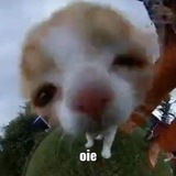 Telegram profile photo for тификс, бобр и тачик🚸