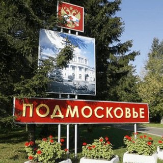 Telegram profile photo for Подмосковье