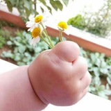 Telegram profile photo for تعلم التركية محادثات تركية