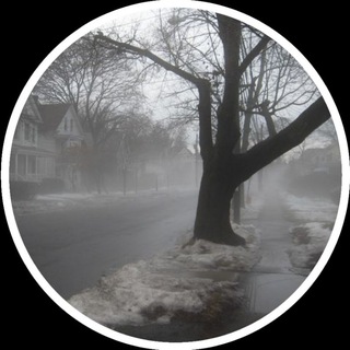Telegram profile photo for γ
€ζ ά ππΝπ
π βΊ . π