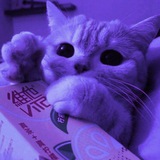 Telegram profile photo for Заказики🪻