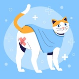 Telegram profile photo for Пушистый лекарь Тимофей