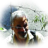 Telegram profile photo for peace