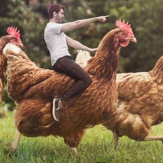 Telegram profile photo for Олиса Аддамс