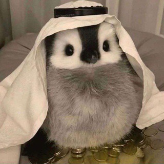Telegram profile photo for ๐๐๐ ๐๐๐๐๐๐๐๐