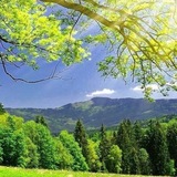 Telegram profile photo for امیدی تازه