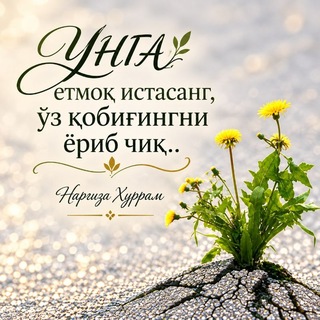 Telegram profile photo for ҲАҚҚА САФАР