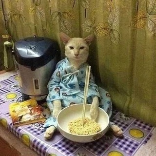 Telegram profile photo for Wtf. Memes ?