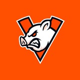 Telegram profile photo for Свиня.Pro