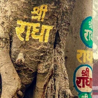 Telegram profile photo for The voice of Vrindavan