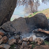 Telegram profile photo for اسکواد