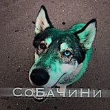 Telegram profile photo for СоБаЧиНи🐶