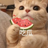 Telegram profile photo for 吃瓜中心/东南亚狗推吃瓜