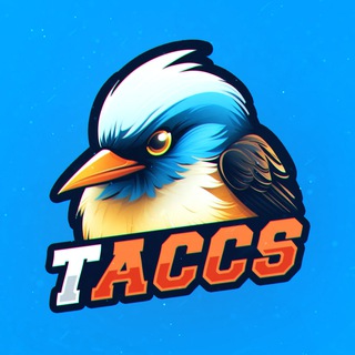 Telegram profile photo for T