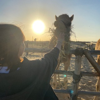 Telegram profile photo for Крестьянский плов