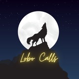 Telegram profile photo for LOBO | Base chain calls