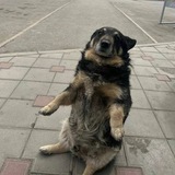 Telegram profile photo for неловко