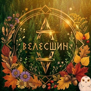 Telegram profile photo for ᛒᛊⴷᛊⵎшин 🛞 Шиномонтаж СПб
