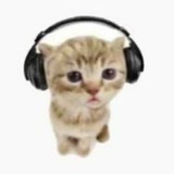 Telegram profile photo for portfolio ✶ meow
