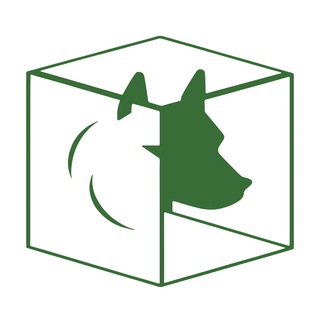 Telegram profile photo for DogeCube - News 📣 🐶