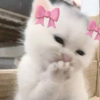 Telegram profile photo for kr & japan htb🇰🇷🇯🇵⌯⌲