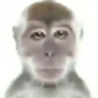 Telegram profile photo for Lean4Real