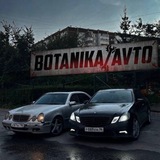 Telegram profile photo for •BOTANIKA CAR•