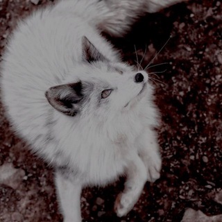 Telegram profile photo for искры серебрянки