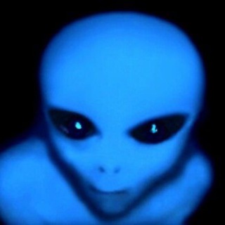 Telegram profile photo for aliencore