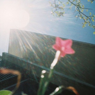 Telegram profile photo for Earthgram