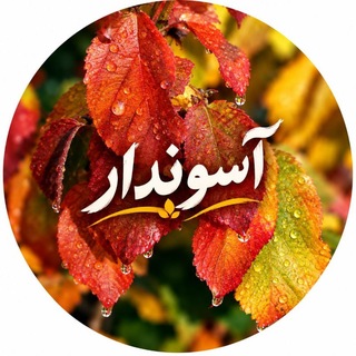 Telegram profile photo for آسوندار (لیلا مرگن، خبرنگار)