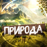 Telegram profile photo for Nature 🗺️ | Природа | Красивые Видео Путешествия