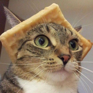 Telegram profile photo for Ключ 🔑