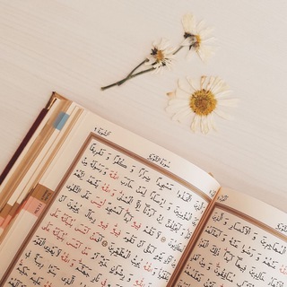 Telegram profile photo for صور للقرآن الكريم 📖
