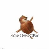 Telegram profile photo for I'm a coconut